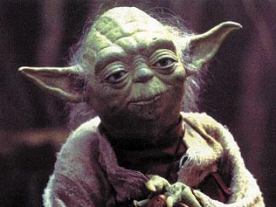 Yoda – kot z dodatkową para uszu
