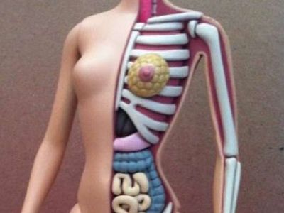 Anatomiczna Barbie