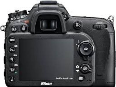 Nikon najpopularniejszym producentem lustrzanek cyfrowych