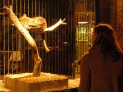 Banksy otwiera sklep zoologiczny - (VIDEO)