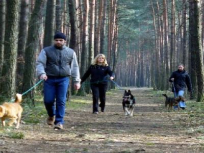 Co robić w Święta, żeby się nie nudzić?