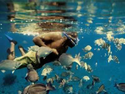 Snorkling- nowa forma aktywnego wypoczynku