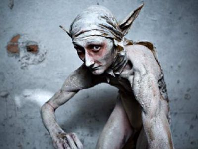 Petr Zelenka, Bracia Karamazow, film