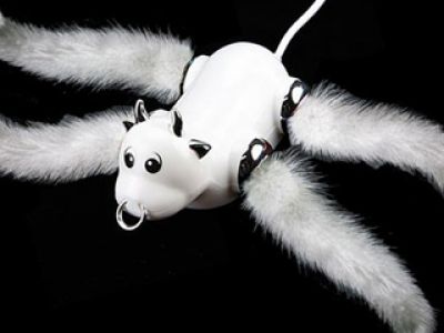 Krówka - mrówka USB i koci ogon
