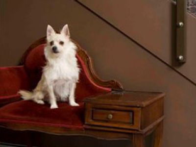 Paws Paws Dog Hotel- Sydney