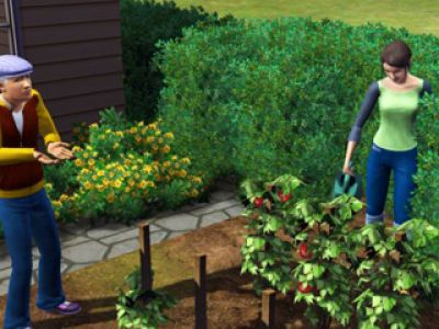 Fenomen The Sims 3