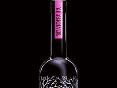 Belvedere IX – żywioł imprezy