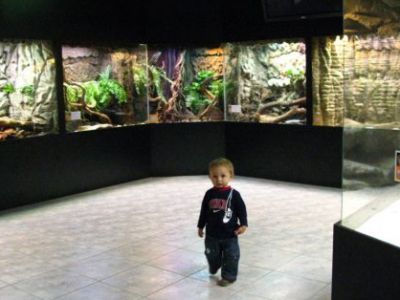 Aquarium i Muzeum przyrodnicze w Krakowie
