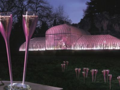 Moët Rosé Party