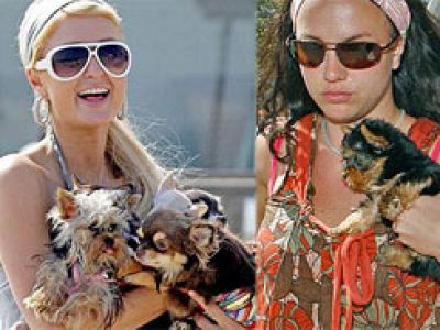 Gwiazdy i celebrities- styl życia. 2007 - rok psów.
