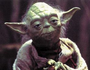 Yoda – kot z dodatkową para uszu