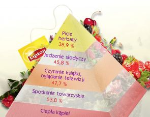 Piramida codziennych przyjemności Polaków