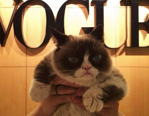 Grumpy Cat w Vogue