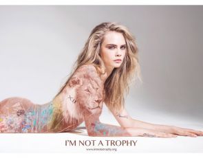 Trendy kampanie: Nie jestem trofeum!