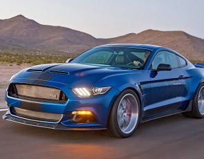 Shelby Widebody Super Snake
