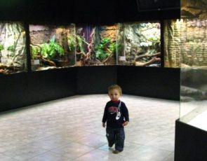Aquarium i Muzeum przyrodnicze w Krakowie