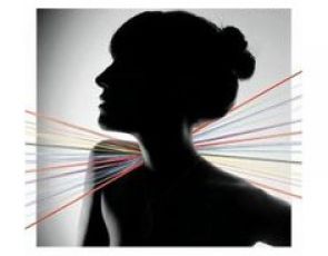 FEIST - "The Reminder"